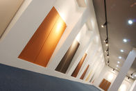Porcellana la terracotta architettonica dei pannelli di rivestimento della parete di spessore di 18mm riveste la serie di pannelli F18 società