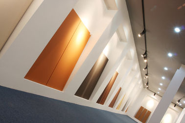 la terracotta architettonica dei pannelli di rivestimento della parete di spessore di 18mm riveste la serie di pannelli F18